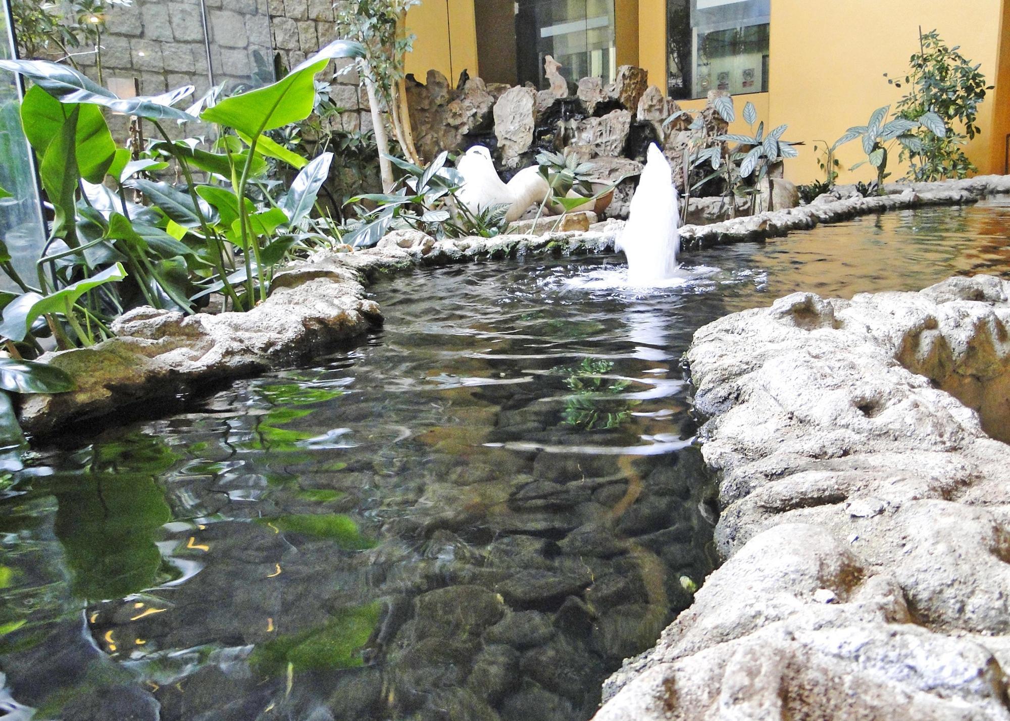 Hotel Europa ลาปาซ ภายนอก รูปภาพ